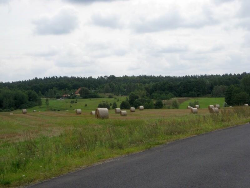 Widok na wieś Kapalica