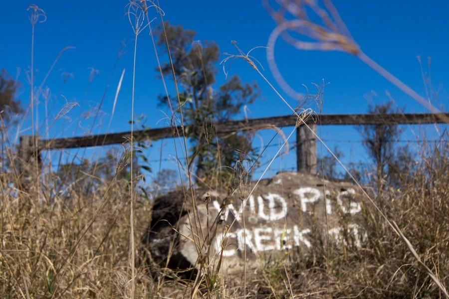 Wild Pig Creek Rd