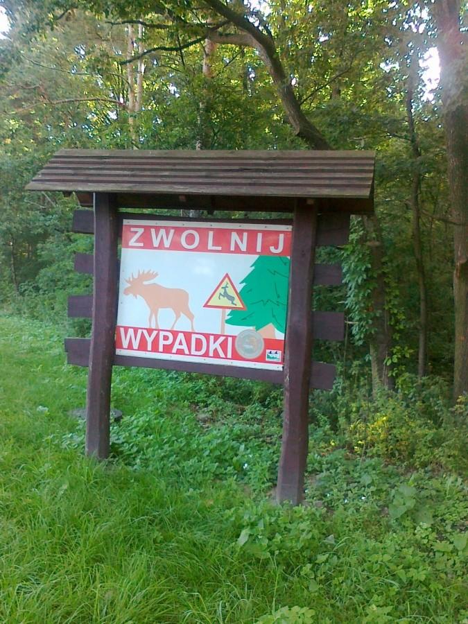 Uwaga łosie