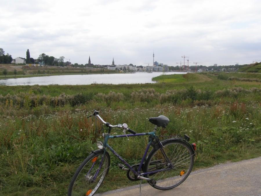 Holenderka nad phoenix see