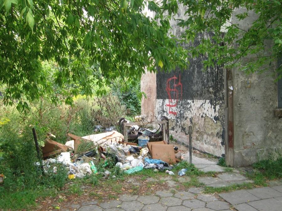 Śmietnink na Chojnach w Łodzi