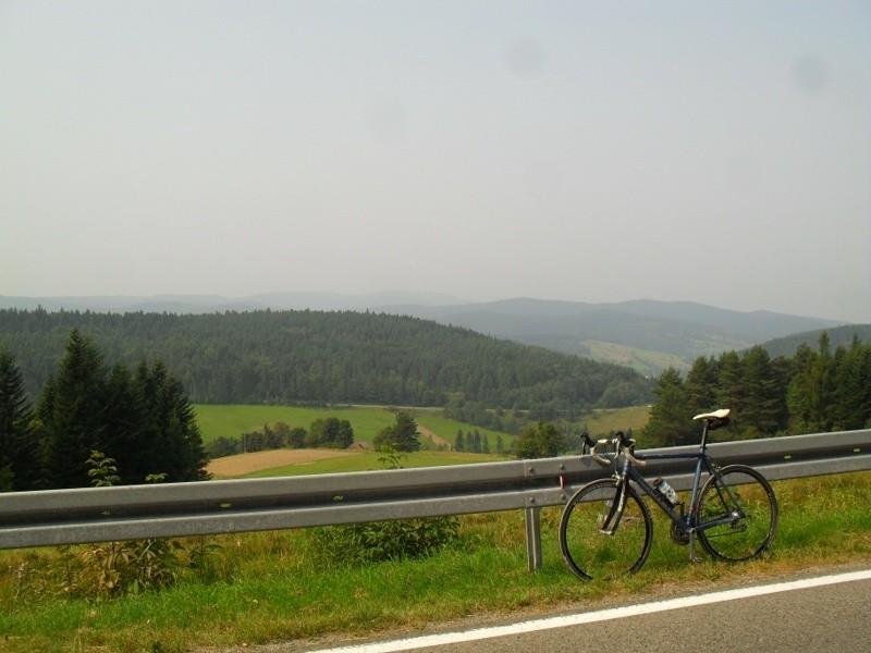Krzyżówka