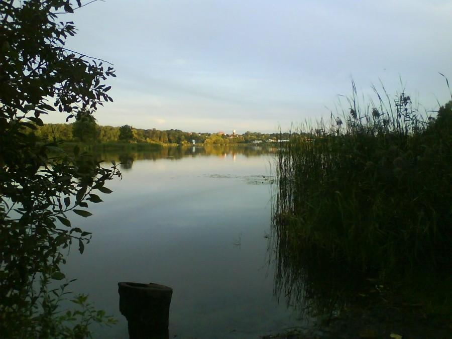 Jezioro Swarzedzkie