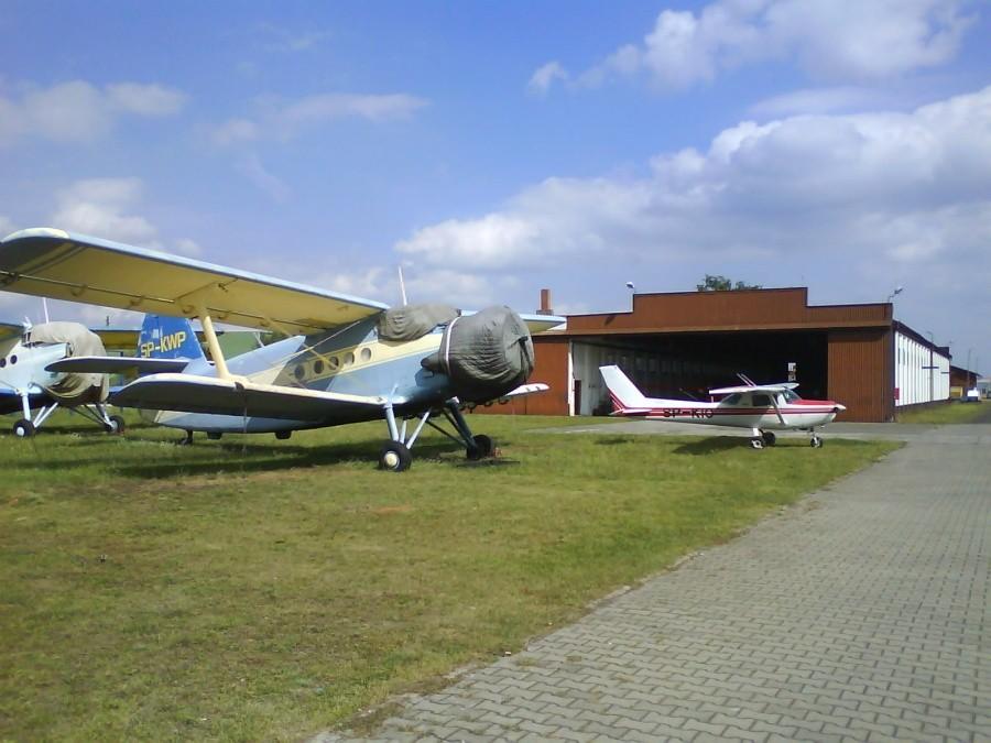 Ligowiec