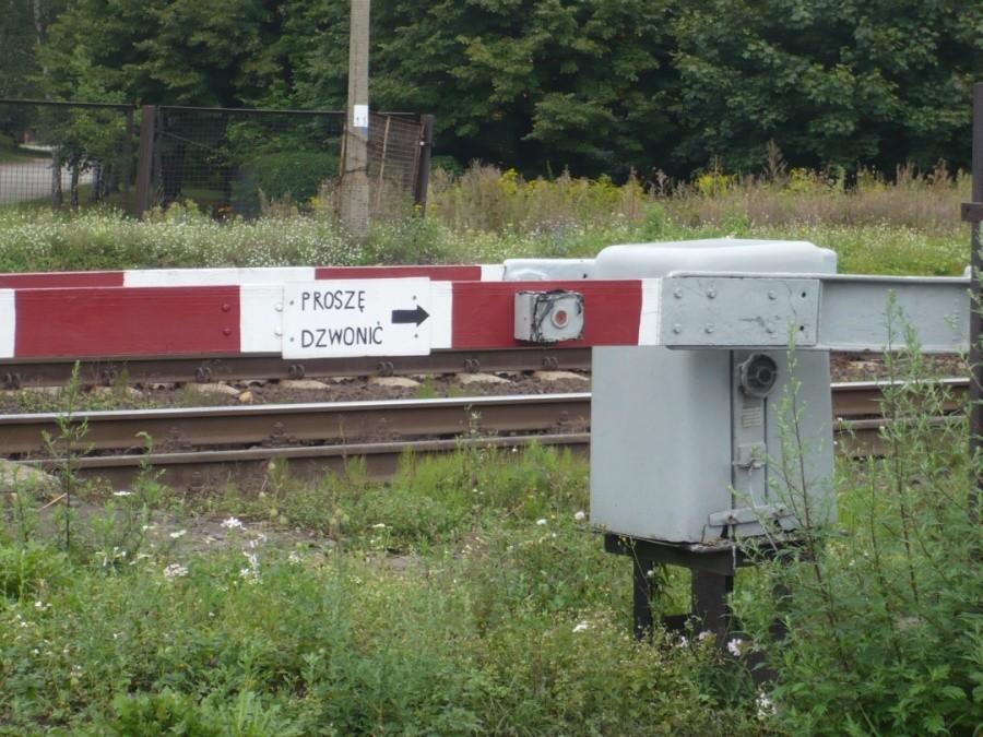 Dzwonek