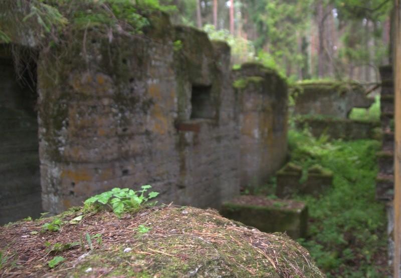 Ruin ciąg dalszy
