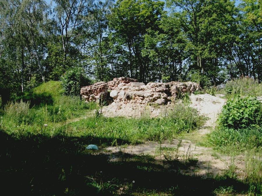 Ruiny zamku w Wąbrzeźnie
