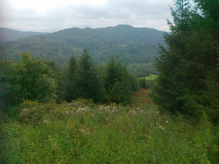 Trasy rowerowe Bieszczady 10
