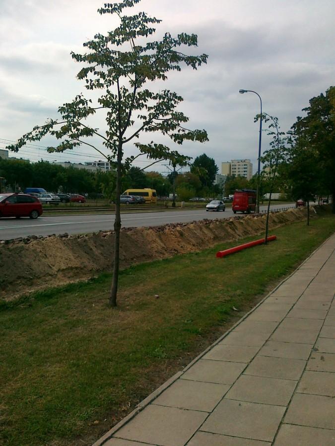 Remont drogi dla rowerów na Broniewskiego