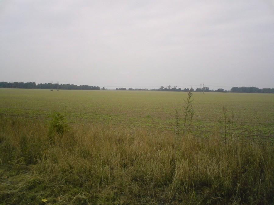 316190.jpg