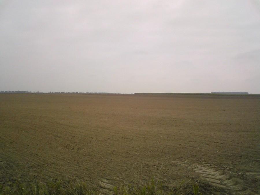 316192.jpg