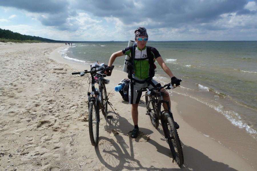 Słit focia na plaży