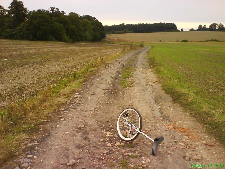 Wśród pól za Marysinem...