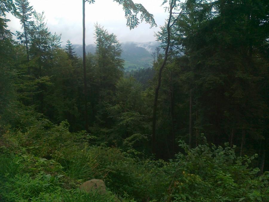 Trasy rowerowe Bieszczady 17