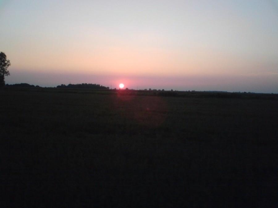 316657.jpg