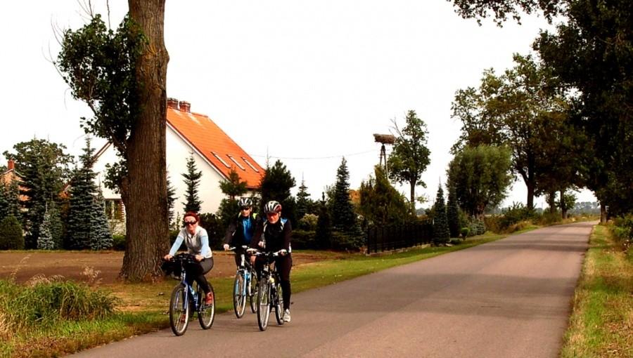 Rowerzyści w drodze…