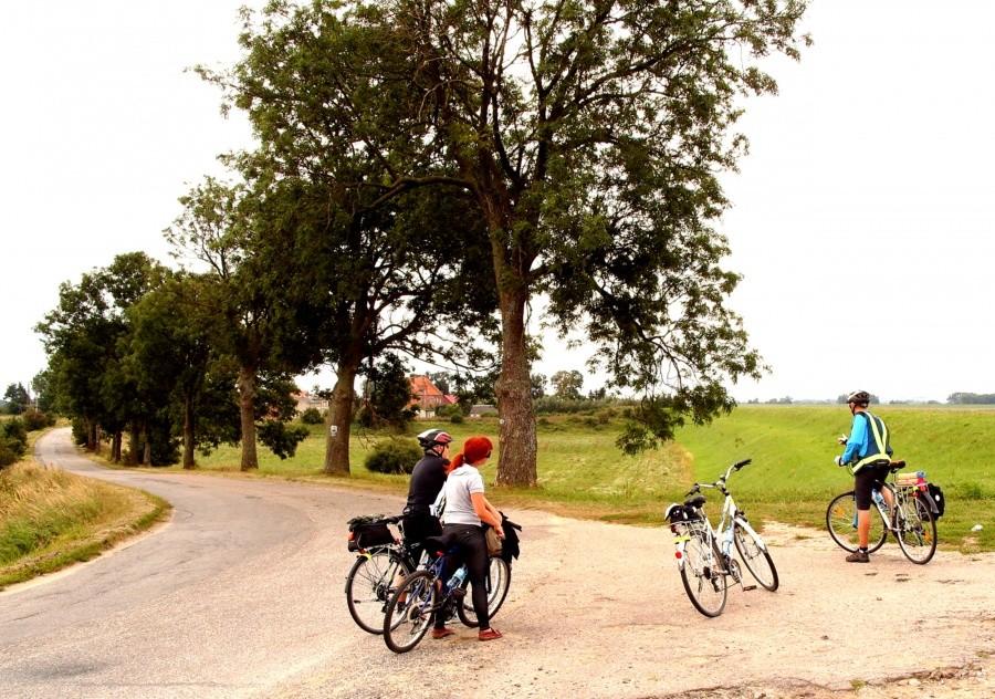 Rowerzyści w drodze…