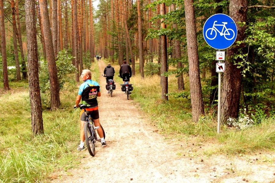 Leśna droga rowerowa prowadzi do Parpar
