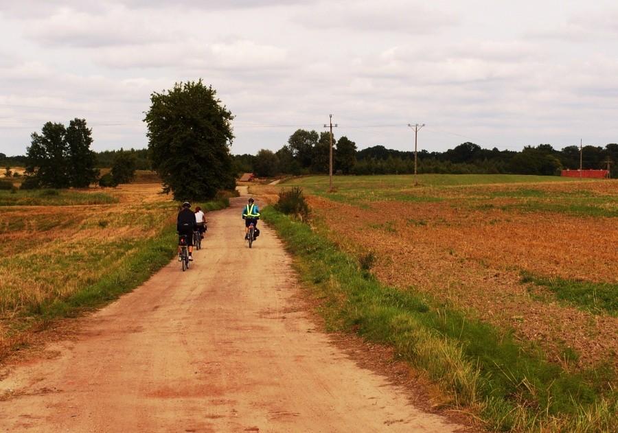 Kierunek Węgry, polną drogą…