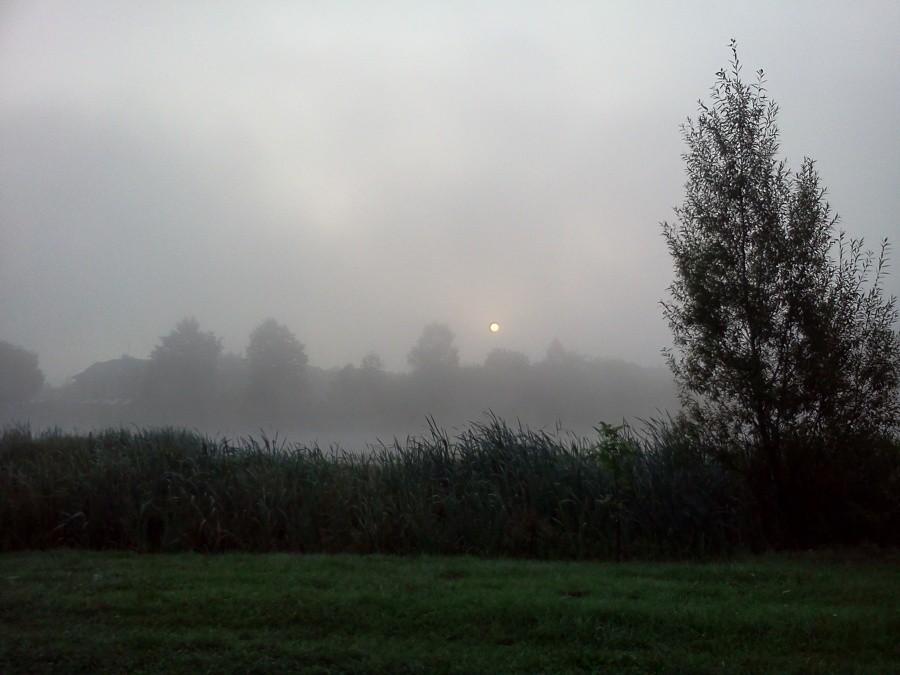 Poranek nad zalewem.