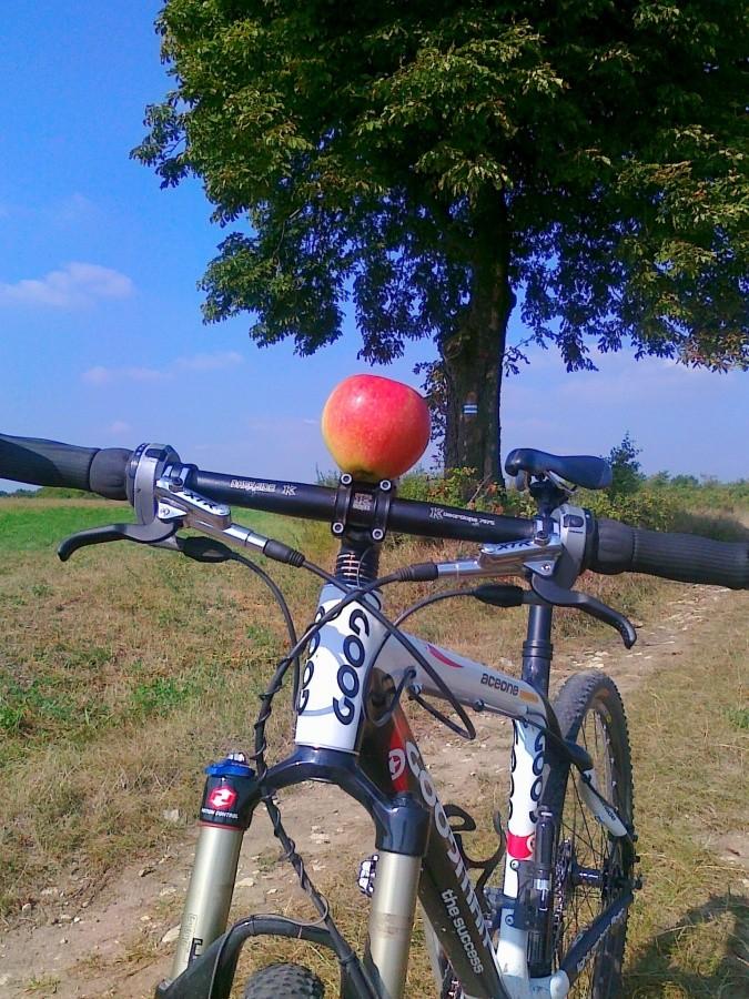 Jabłuszko :)
