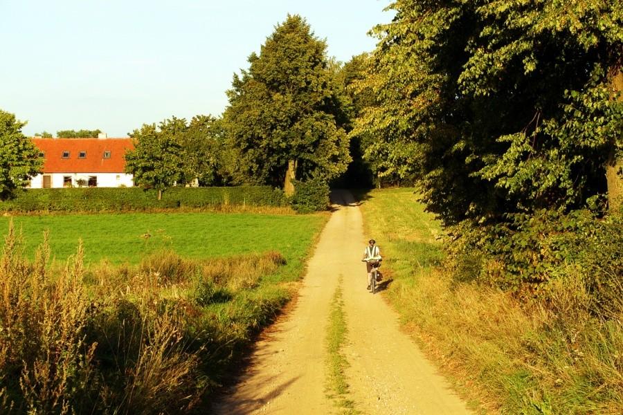 Ścieżka w kierunku Boroszewa – wracamy do domu
