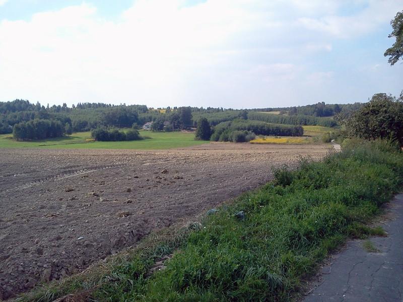 Ładne widoki w Parku Wzniesień Łódzkich.