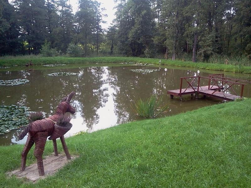 Ładny staw.