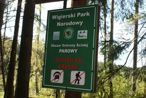 nie zbierać grzybów i nie chodzić, nic nie pisze o rowerzystach, więc jadę