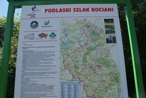 niestety, mój Czarny Bocian nie odnalazł ani jednego swojego brata, choć przemierzaliśmy ich szlakiem niejednokrotnie