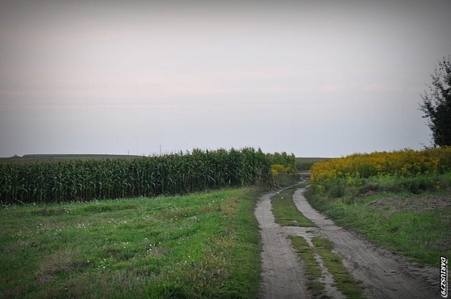 Przełajka - Droga w strona Bytomia