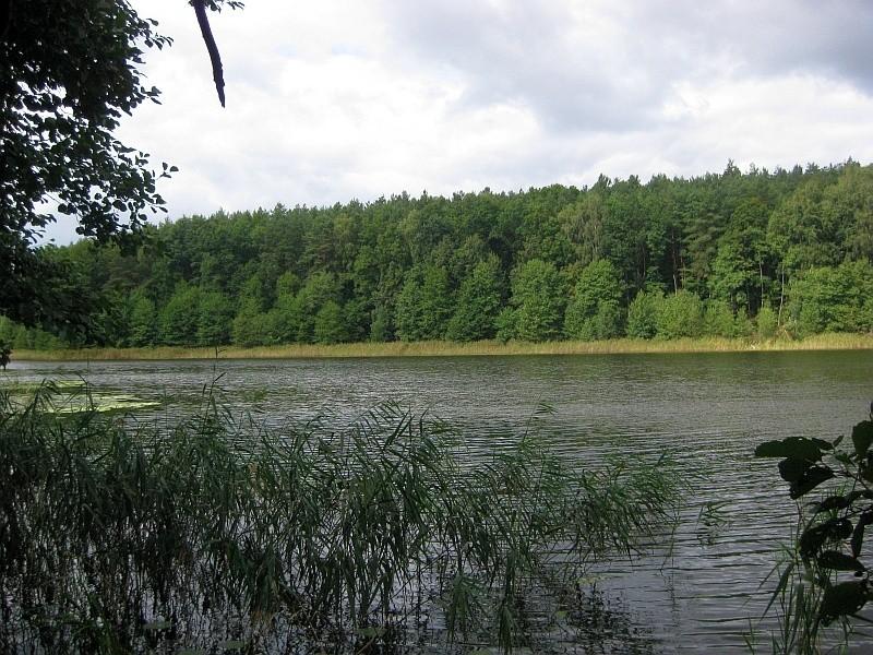 Rezerwat Jezioro Czarne