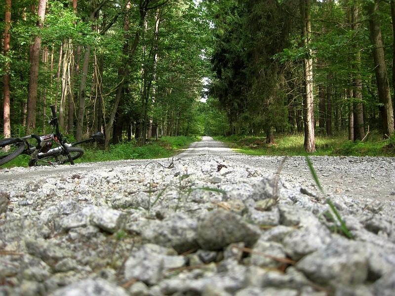 na kamyszkach fajnie opony szumiały