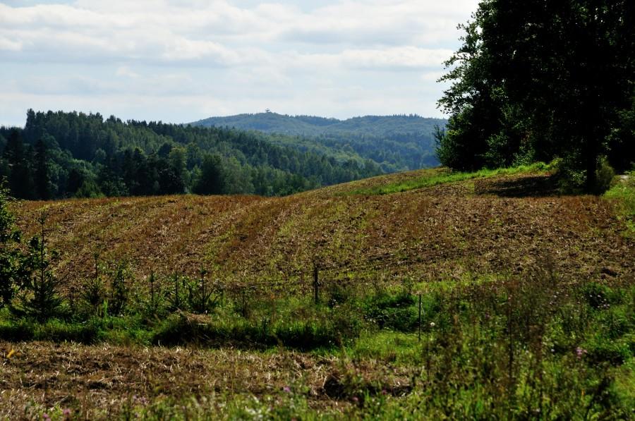 Jeden z ładniejszych widoków z Wieżycą