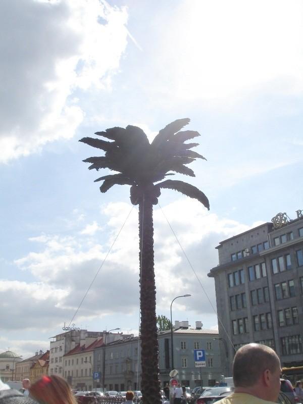 Czekoladowa palma Wedla