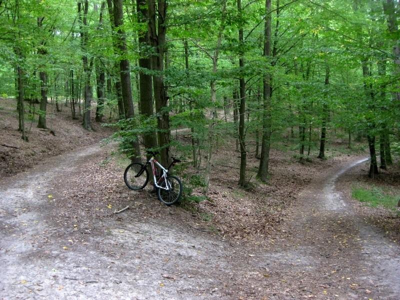 Park Krajobrazowy Promno - Rezerwat Jezioro Brzostek