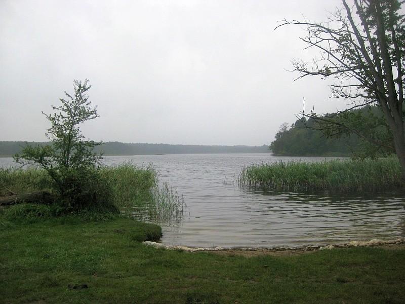 Szaruga nad Jeziorem Wronczyńskim Wielkim