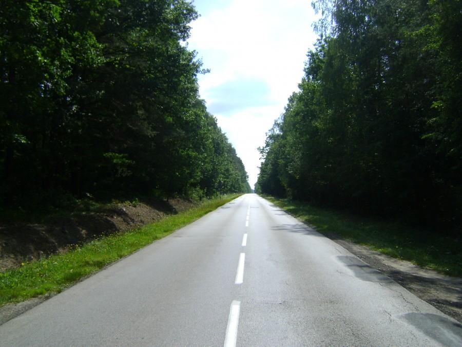 Cisowsko-Orłowiński Park Krajobrazowy