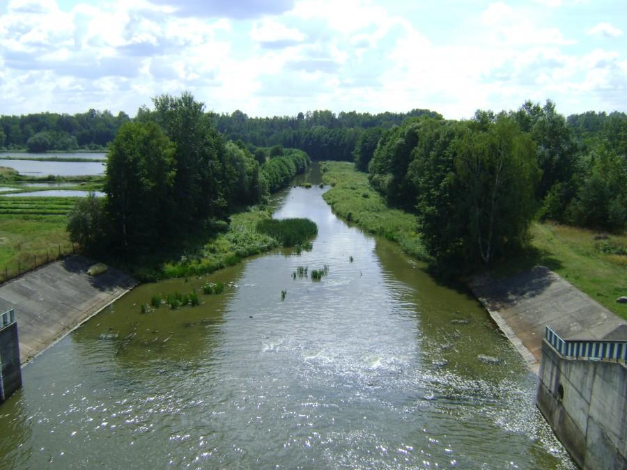 Rzeka Czarna Staszowska