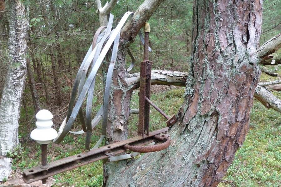 Skąd to się wzięło w sercu Słowińskiego Parku Narodowego - nie mam pojęcia