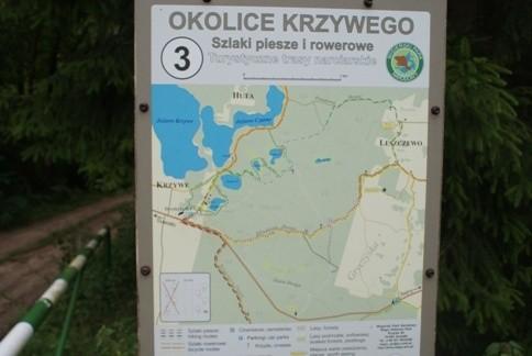 okolice Krzywego