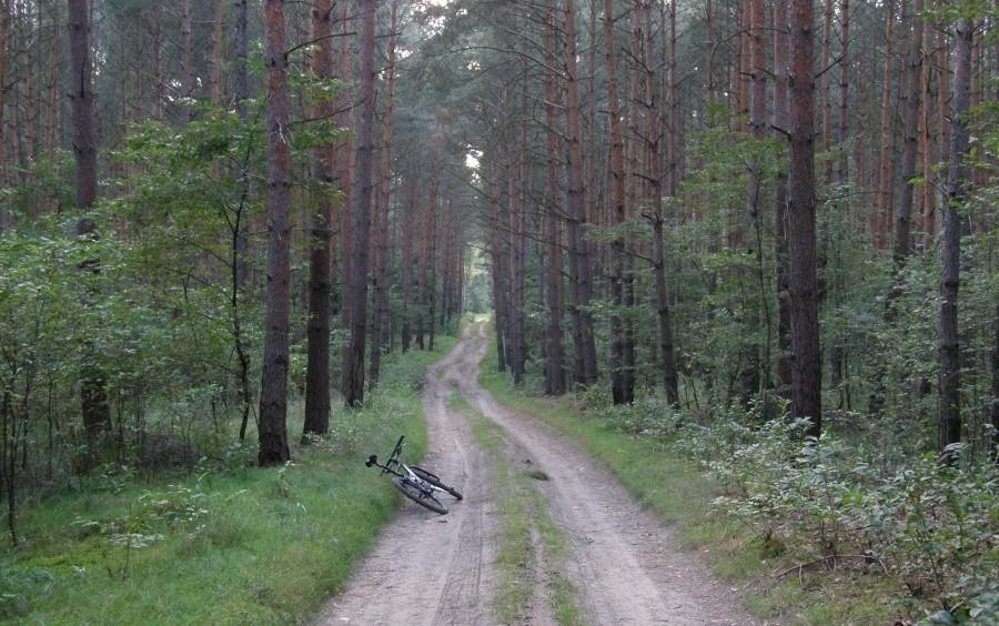 Od terenu to ja jestem uzależniony :) Tutaj troszkę pobłądziłem :)
