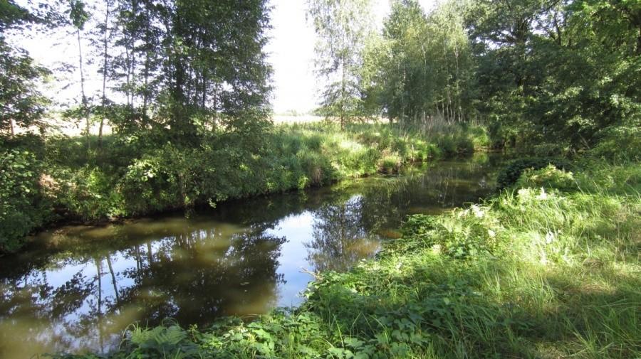 Strumyk koło stawów - tylu wędkarzy to dawno nie widziałem