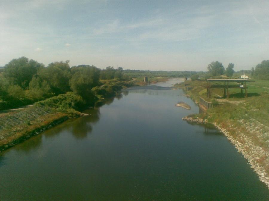 Odra