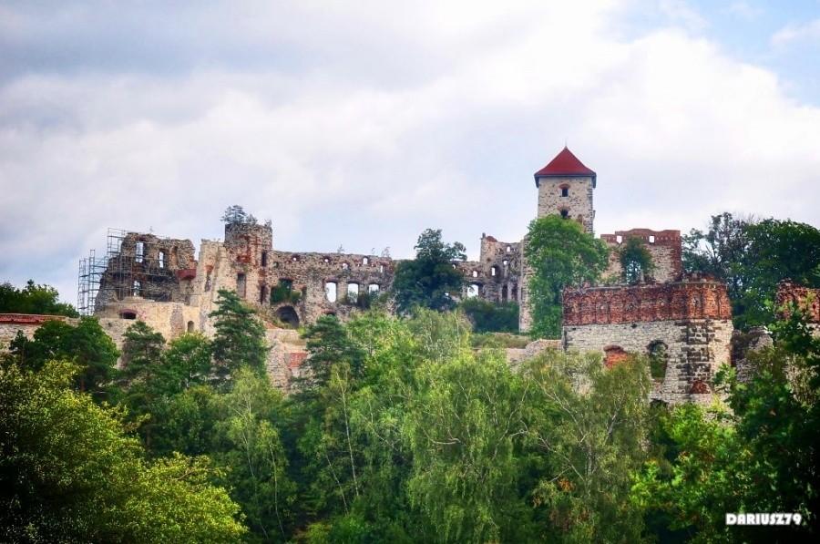 Zamek Teczynski w Rudnie