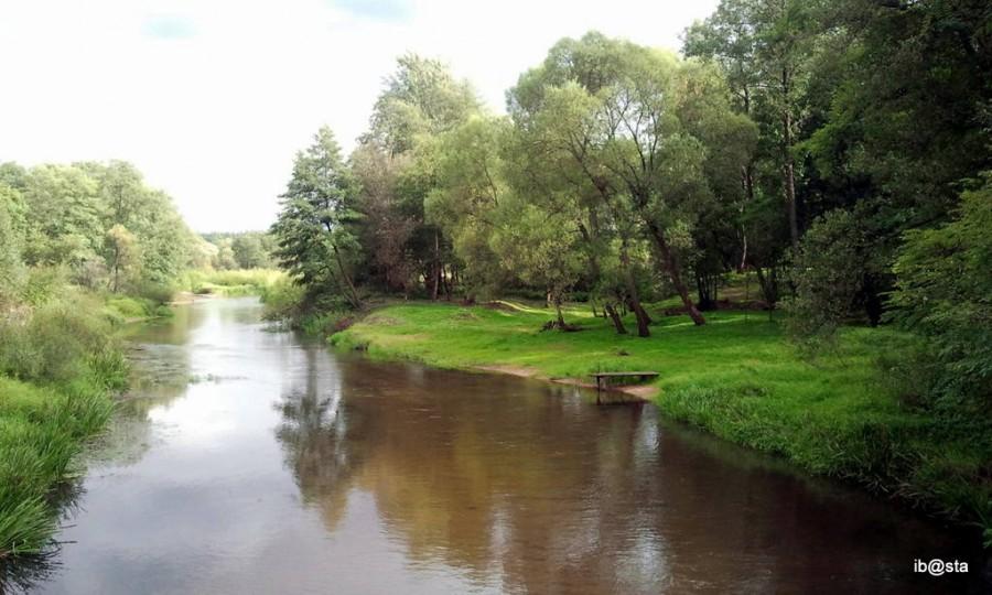 Liswarta