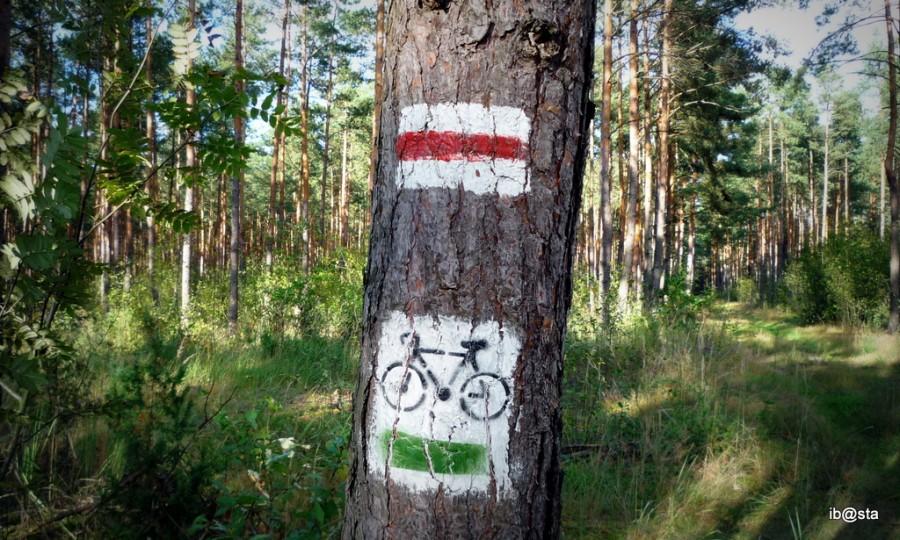 szlak źródeł Liswarty