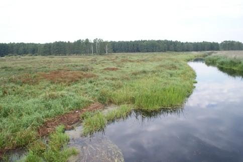 w Biebrzańskim PN wody pod dostatkiem