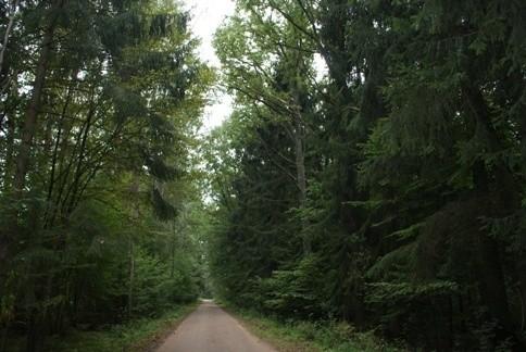 szlakiem