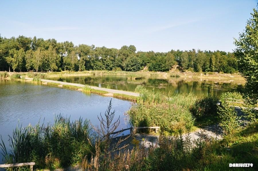 Siemianowice Śląskie - Staw Rzęsa